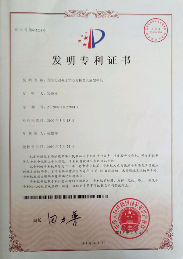 双强专利