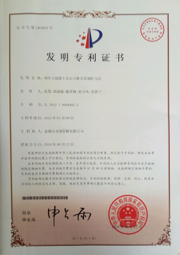 双强专利