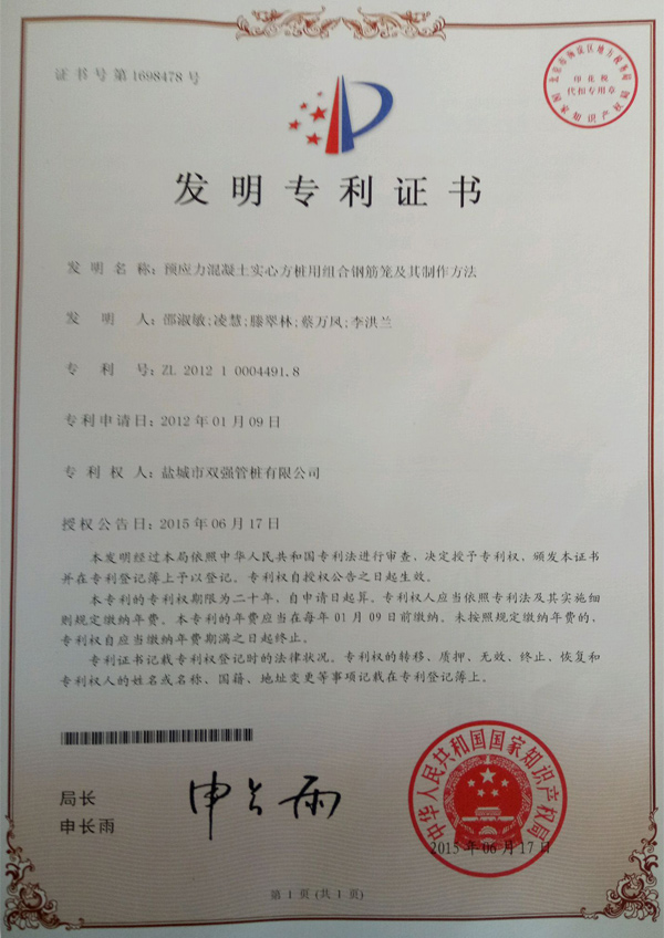 双强专利